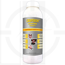 скорпион