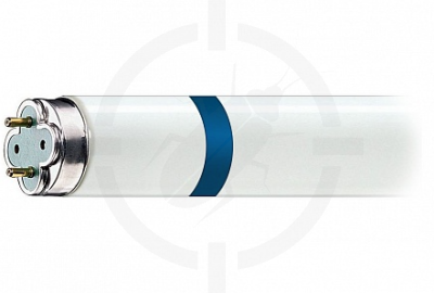 Лампа осколкобезопасная 15W для WE-150-2, WE-813-SB, WE-SB-U30